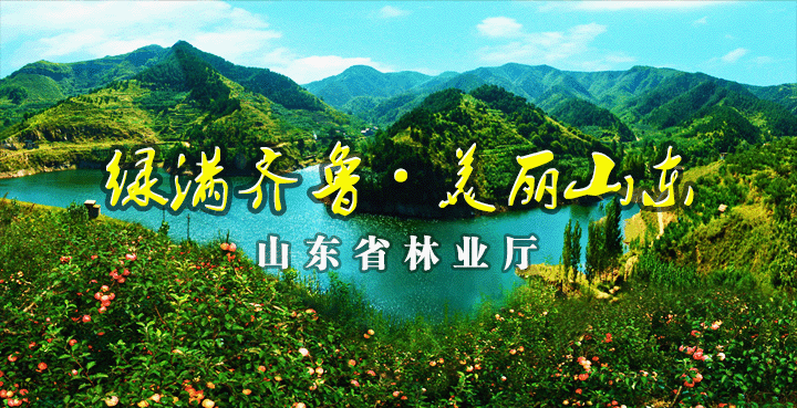 微信图片_20170830104431.gif